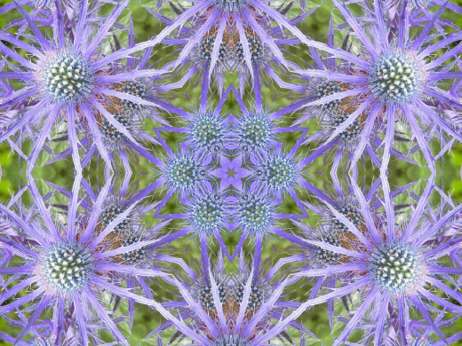 394269 (a): :2400x1800